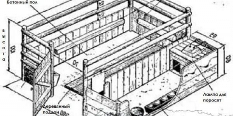 Kako napraviti šupu za svinje vlastitim rukama: kako izgraditi